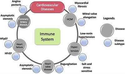 Connections for Matters of the Heart: Network Medicine in Cardiovascular Diseases